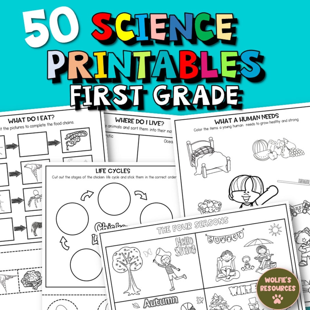 Science Worksheets First Grade Printable Free