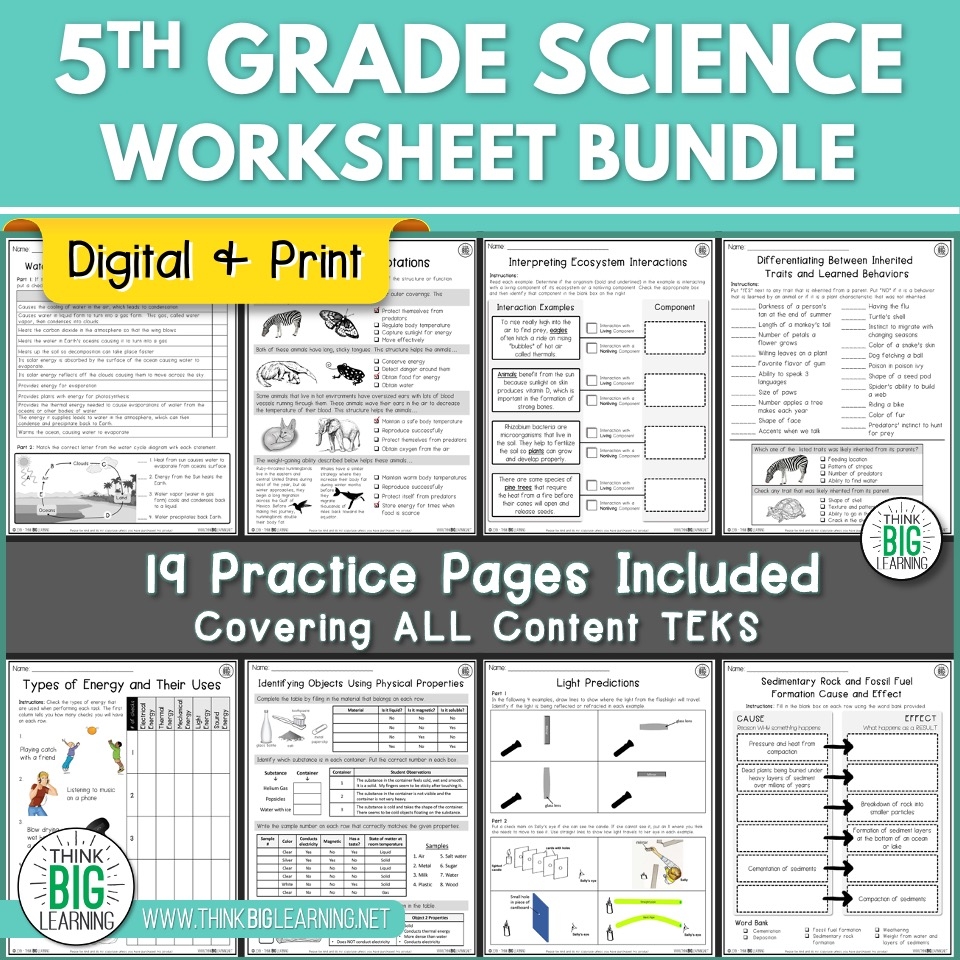 5th Grade Science Worksheets Printable Free 5th Grade Science Worksheets Printable Free