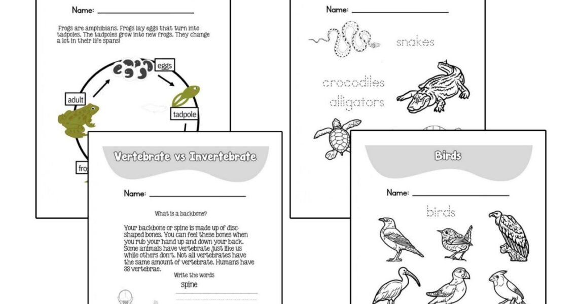 Engaging Science Worksheets For 1st 2nd And 3rd Grade Made By Teachers
