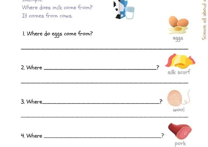 Free Printable Science Worksheets For Grade 2 Worksheets Library
