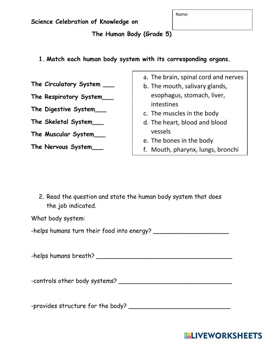 Grade 5 Human Body Celebration Of Knowledge Worksheet Live Worksheets Library Grade 5 Human Body Celebration Of Knowledge Worksheet Live Worksheets Library