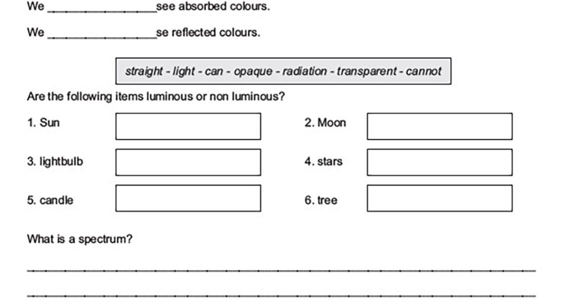 GRADE 8 SCIENCE LIGHT REVISION WORKSHEET