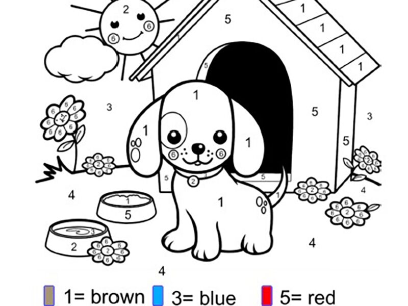 GRADE R PRACTICE WORKSHEETS