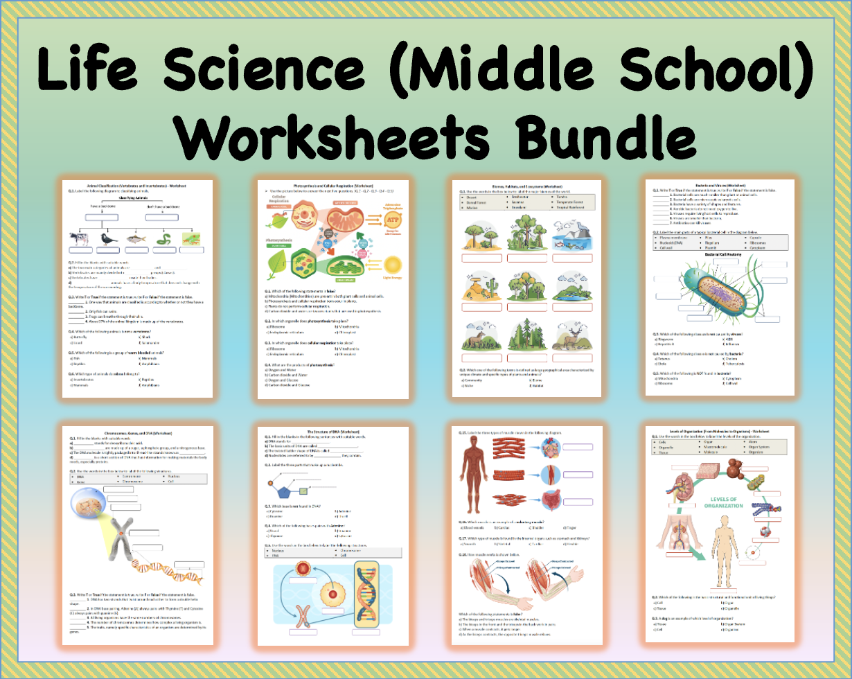 6th Grade Science Free Printable Worksheets
