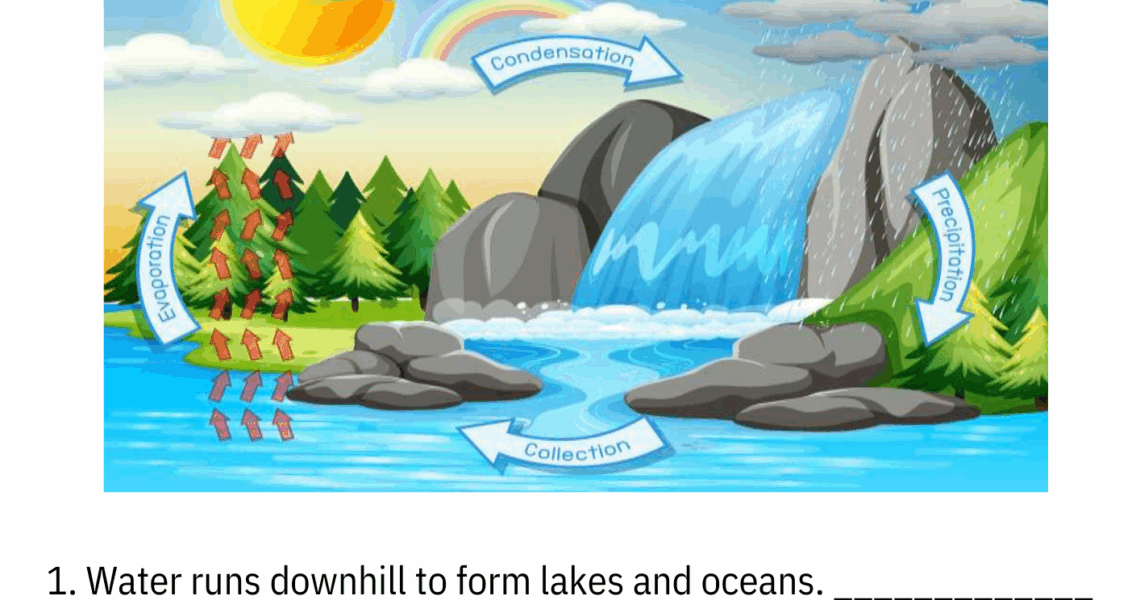 Printable Diagram Science Water Cycle Worksheet And Activities For