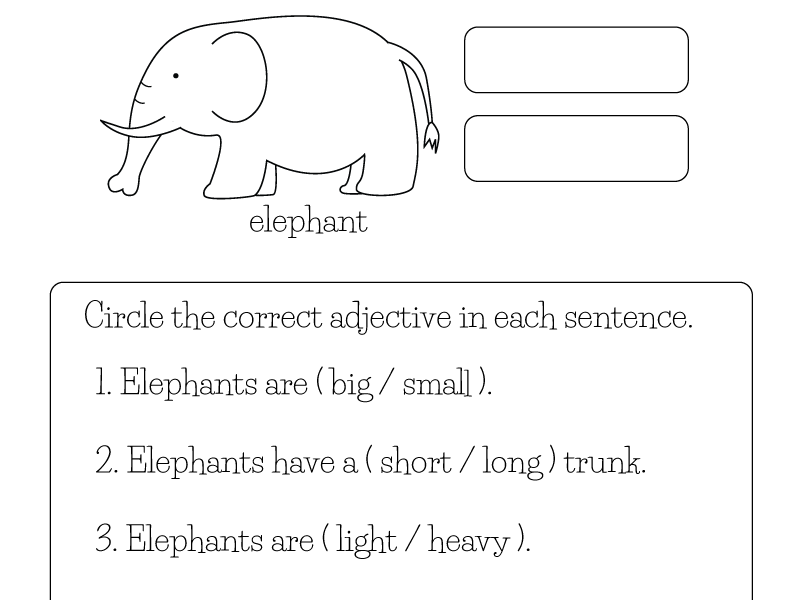 Writing Adjectives Worksheet For 1st Grade Free Printable